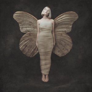 Обложка: AURORA - Winter Bird