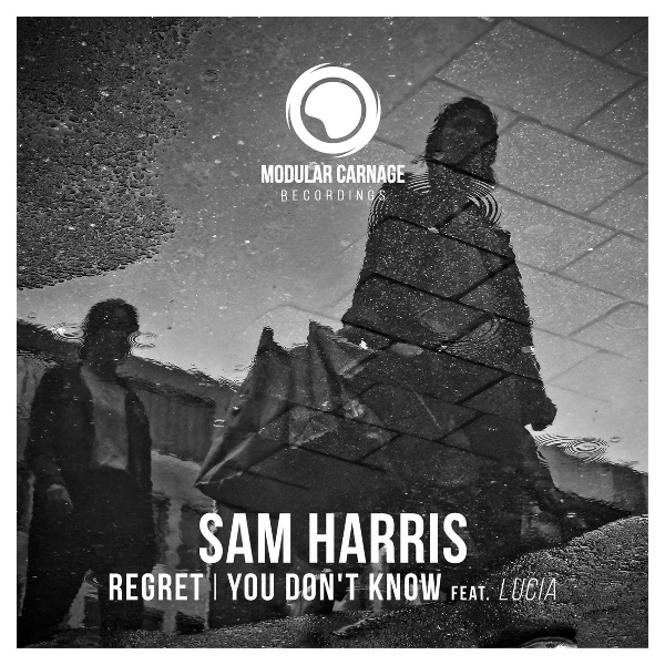 Обложка: Sam Harris - Regret