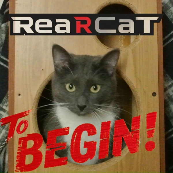 Обложка: Rear Cat - Будь ты проклят, пылесос