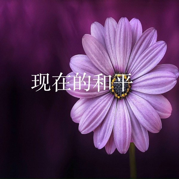 Обложка: 秦耀文 - 轻快活泼