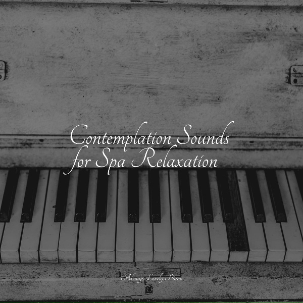 Обложка: Relaxed Minds, Piano Therapy Sessions, Calm Music for Studying - Moonsong Melody