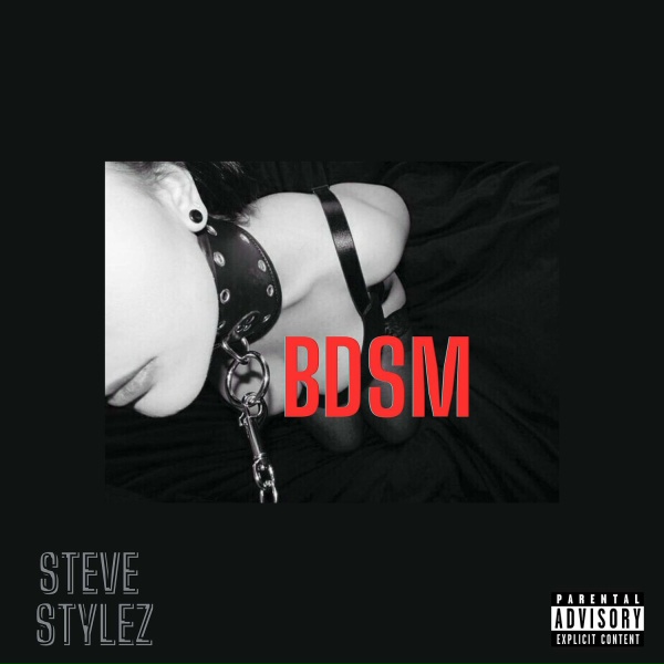 Обложка: Steve Stylez - Bdsm