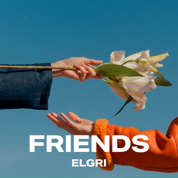 Обложка: ELGRI - Friends