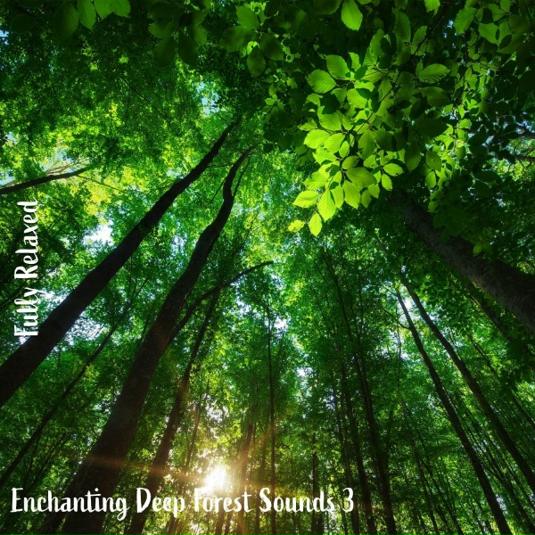 Обложка: Steve Brassel - Enchanting Deep Forest Sounds, Pt. 4