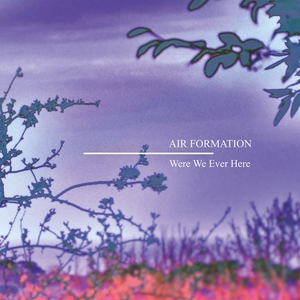 Обложка: Air Formation - The Wasted Days