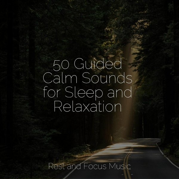 Обложка: Massage Music, ambiente, Sleeping Music - As the Lamb Sleeps