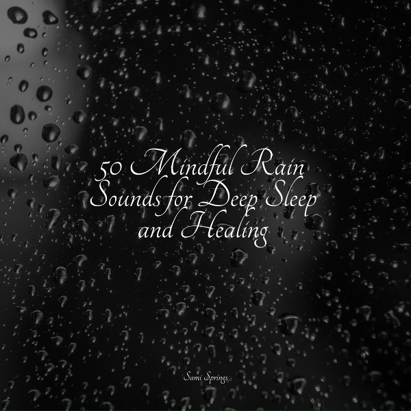 Обложка: Sample Rain Library, Sleep Songs 101, Zen Music Garden - Tranquil Sea