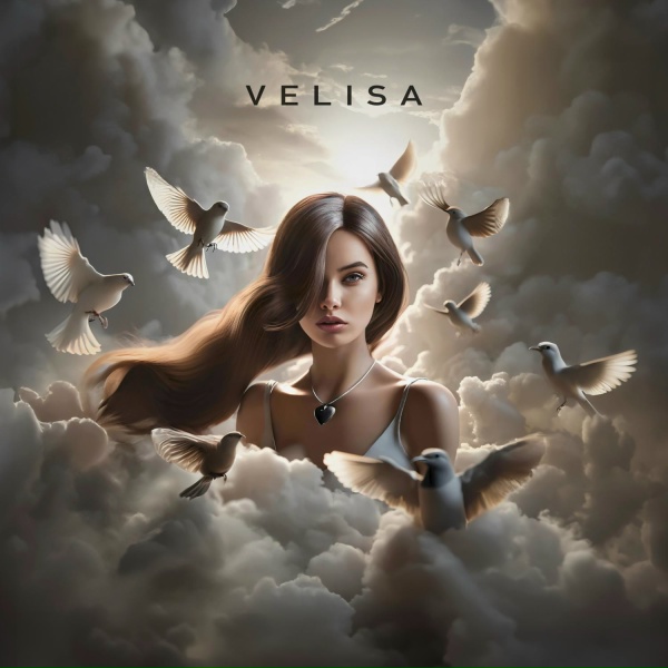 Обложка: VELISA - Птица