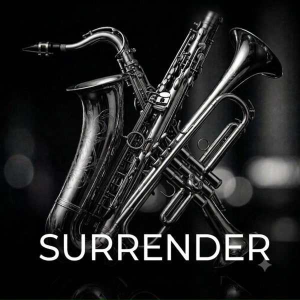 Обложка: Боровков Дмитрий - Surrender