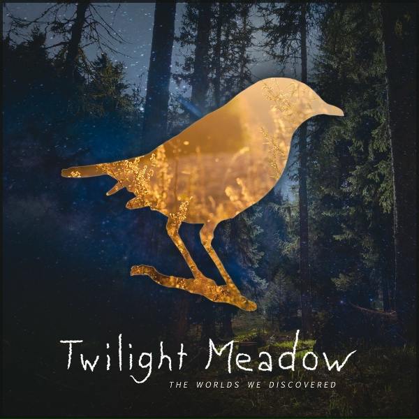 Обложка: Twilight Meadow - Never Ever Ever