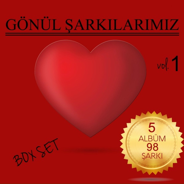 Обложка: Melike Yurtseven - Ne Gelen Ne Soran Var