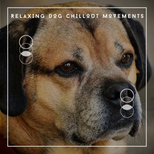 Обложка: Relaxing Dog Chillout - Relaxing & Chilling Dogs