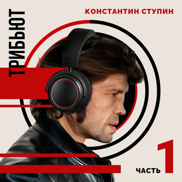 Обложка: Душегубы - Гром (Константин Ступин cover)