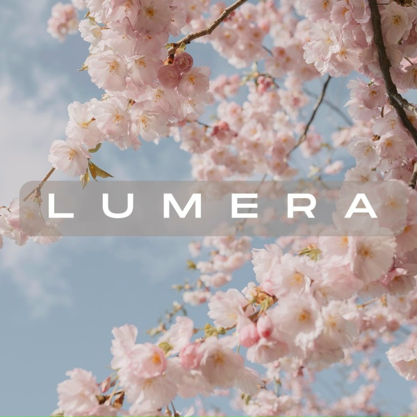 Обложка: LUMERA - Без лишних звуков