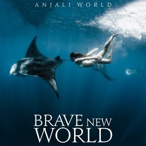 Обложка: Anjali World feat. Tyga, Sage the Gemini - Nobody