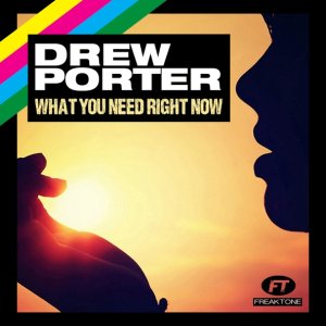 Обложка: Drew Porter - What You Need Right Now (Bassmonkeys Radio Edit)