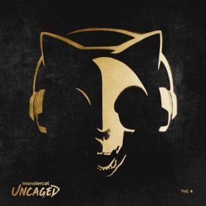 Обложка: Darren Styles, Stonebank feat. EMEL - Sky Is Falling