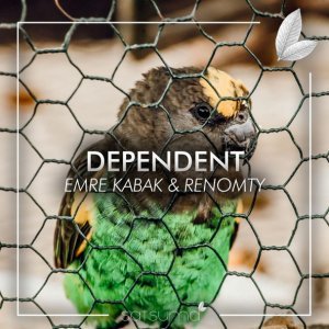 Обложка: Emre Kabak, Renomty - Dependent