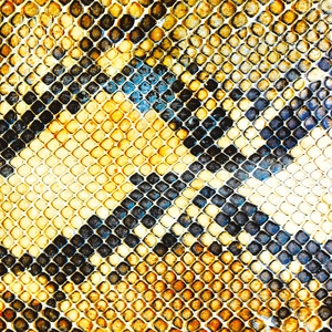 Обложка: The Amazing Snakeheads - Where Is My Knife?