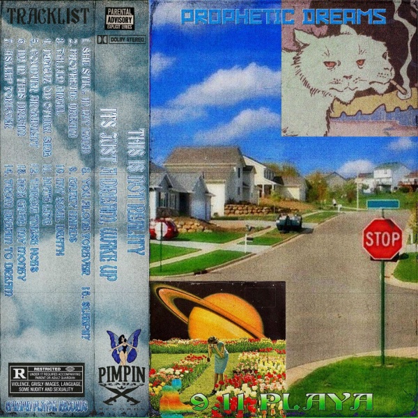 Обложка: 9.11 playa - SLEEPIN'