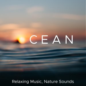 Обложка: Relaxing Piano Music & Asian Zen Spa Music Meditation - Embracing Peace (Yoga Space)