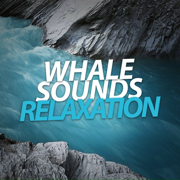 Обложка: Whale Sounds For Relaxation - Gentle Noise For Relaxation
