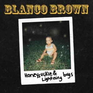 Обложка: Blanco Brown - The Git Up