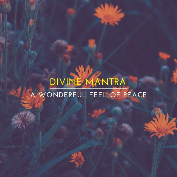 Обложка: Divine Mantra - Devotional Fire