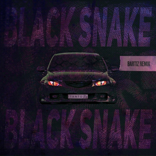 Обложка: Tanto, BartiZ - Black Snake (BartiZ Remix)