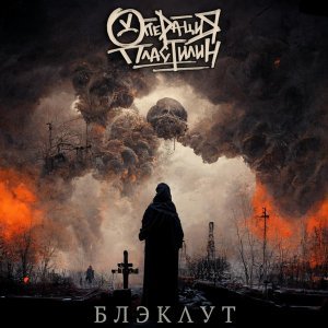 Обложка: Операция Пластилин - Забор