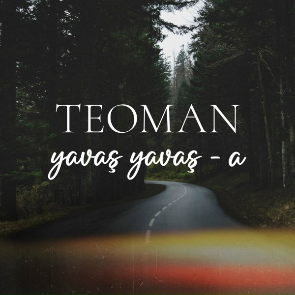 Обложка: Teoman - Kupa Kizi ve Sinek Valesi