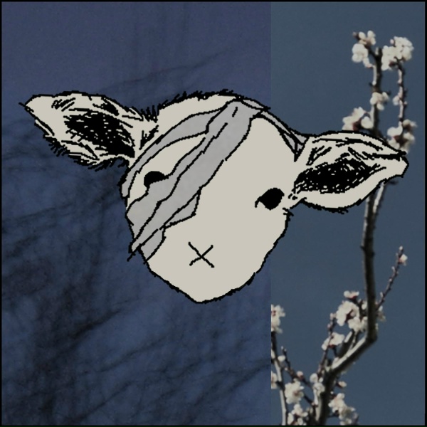 Обложка: wooden lamb - Thank You for the Futile Attempt