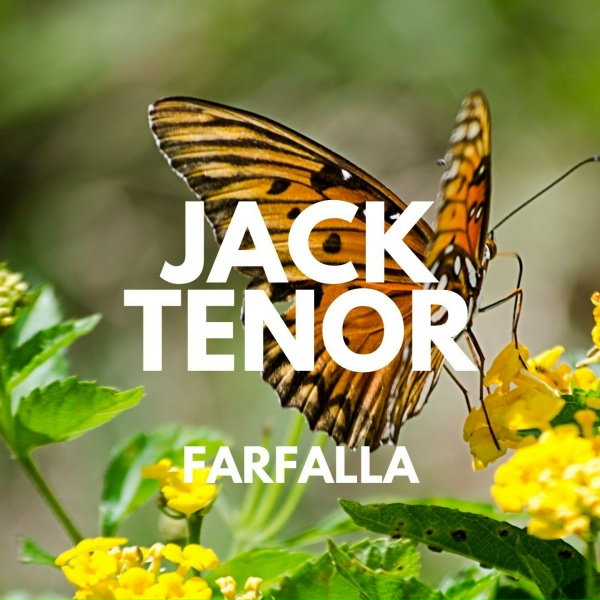 Обложка: Jack Tenor - Applicabile