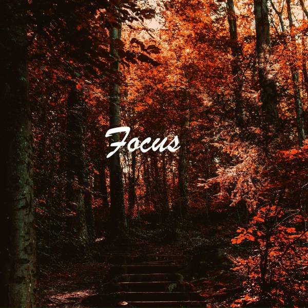 Обложка: Field Notes Collective - Rolling Thundering