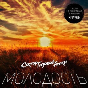 Обложка: Сектор Газовой Атаки - Молодость