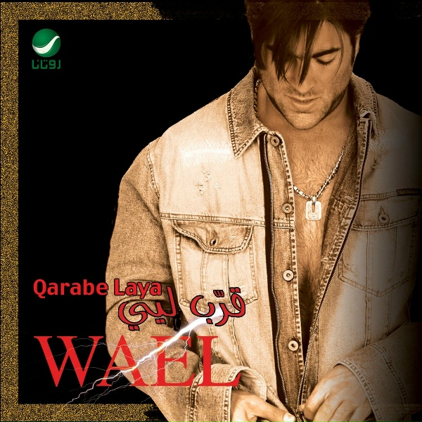 Обложка: Wael Kfoury - Mawal Ma Sadaqt 3younie
