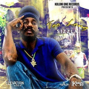 Обложка: Sizzla - Too Long