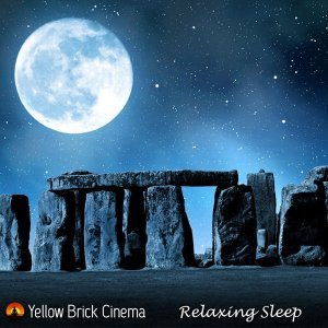 Обложка: Yellow Brick Cinema - Peace of the Forests