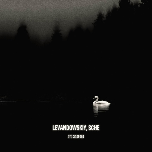 Обложка: Levandowskiy, SCHE - Это здорово