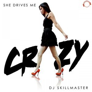 Обложка: DJ Skillmaster - She Drives Me Crazy