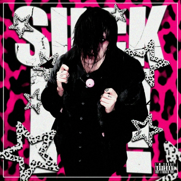 Обложка: dmtboy - SUCK MY SWAG