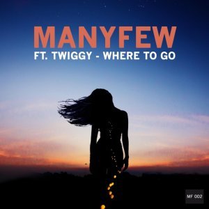 Обложка: ManyFew feat. Twiggy - Where to Go