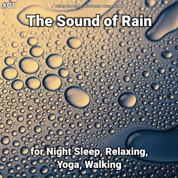 Обложка: Rain for Deep Sleep, Rain Sounds, Nature Sounds - Nature Sounds
