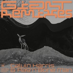 Обложка: Calvin Harris, Rag'n'Bone Man - Giant