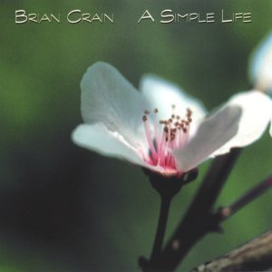 Обложка: Brian Crain - Light in the Window