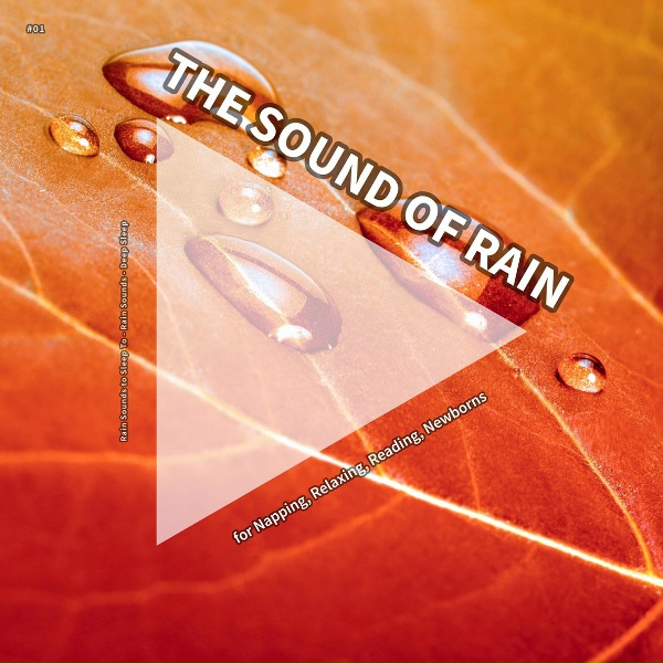 Обложка: Rain Sounds to Sleep To, Rain Sounds, Deep Sleep - Nature Sounds