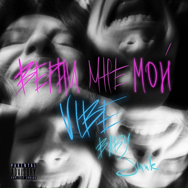 Обложка: VIBEBABYJUNK - Huba Buba
