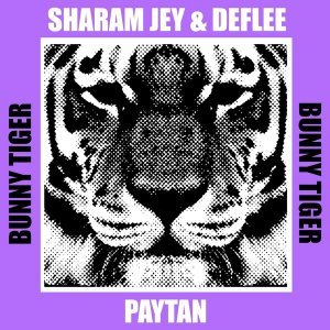 Обложка: DEFLEE - Paytan