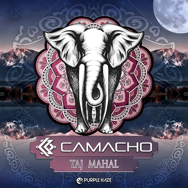 Обложка: Henrique Camacho - Taj Mahal