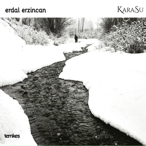 Обложка: Erdal Erzincan - Dizden Kırma